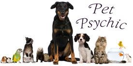 Pet Psychic, dog, cat, bird, fish, guinea pig, mouse, ferret, rabbit